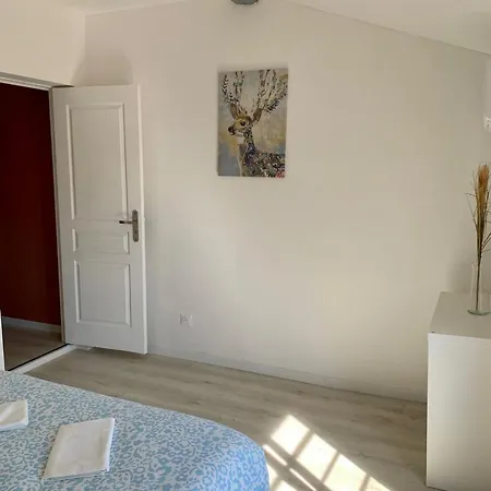 Notre Dame Apartment